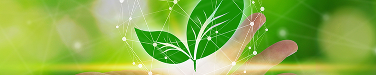 Image:Environmental Initiatives