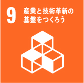 icon-sdgs9