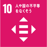 icon-sdgs10