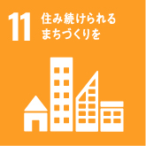 icon-sdgs11