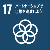 icon-sdgs17